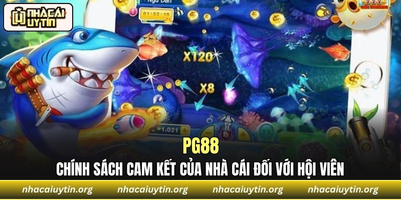 Chính sách cam kết của nhà cái đối với hội viên
