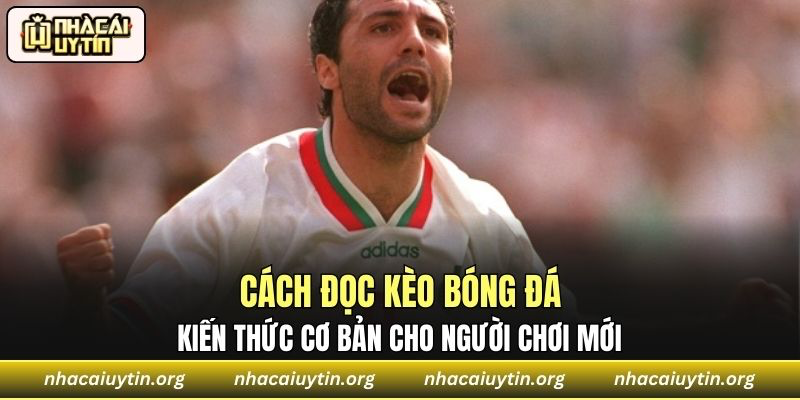 Kiến thức cơ bản về kèo bóng đá dành cho người chơi mới