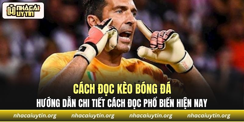Hướng dẫn chi tiết cách đọc kèo bóng đá phổ biến hiện nay