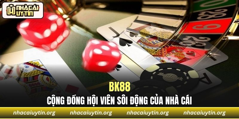 Cộng đồng hội viên sôi động của nhà cái